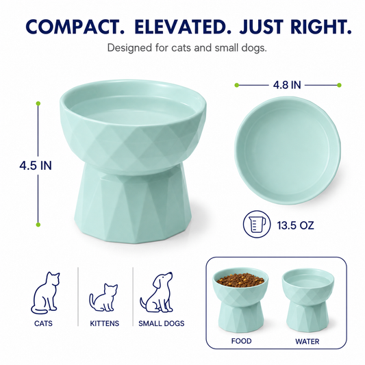 13.5-Oz Elevated Ceramic Food and Water Bowl Set for Cats and Small Dogs, Green