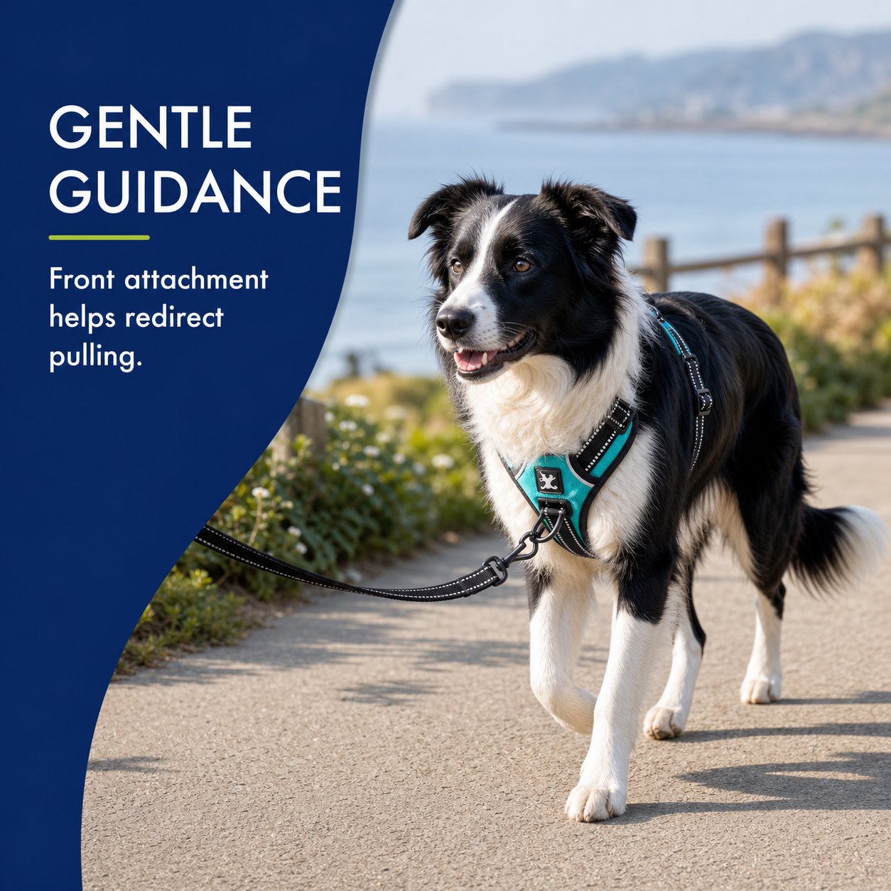 Reflective No-Pull Dog Harness with Front & Back Leash Clips for Medium Sized Dogs