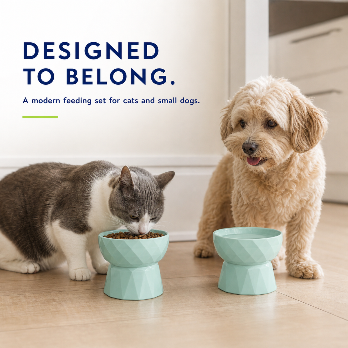 13.5-Oz Elevated Ceramic Food and Water Bowl Set for Cats and Small Dogs, Green
