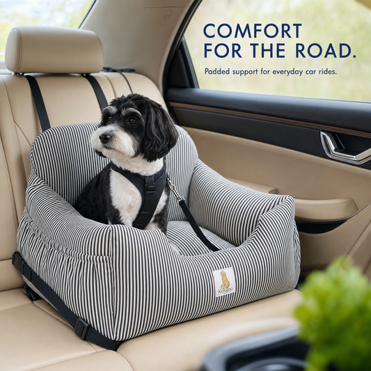 Washable Small Dog Car Booster Seat with Safety Leash and Storage Pockets