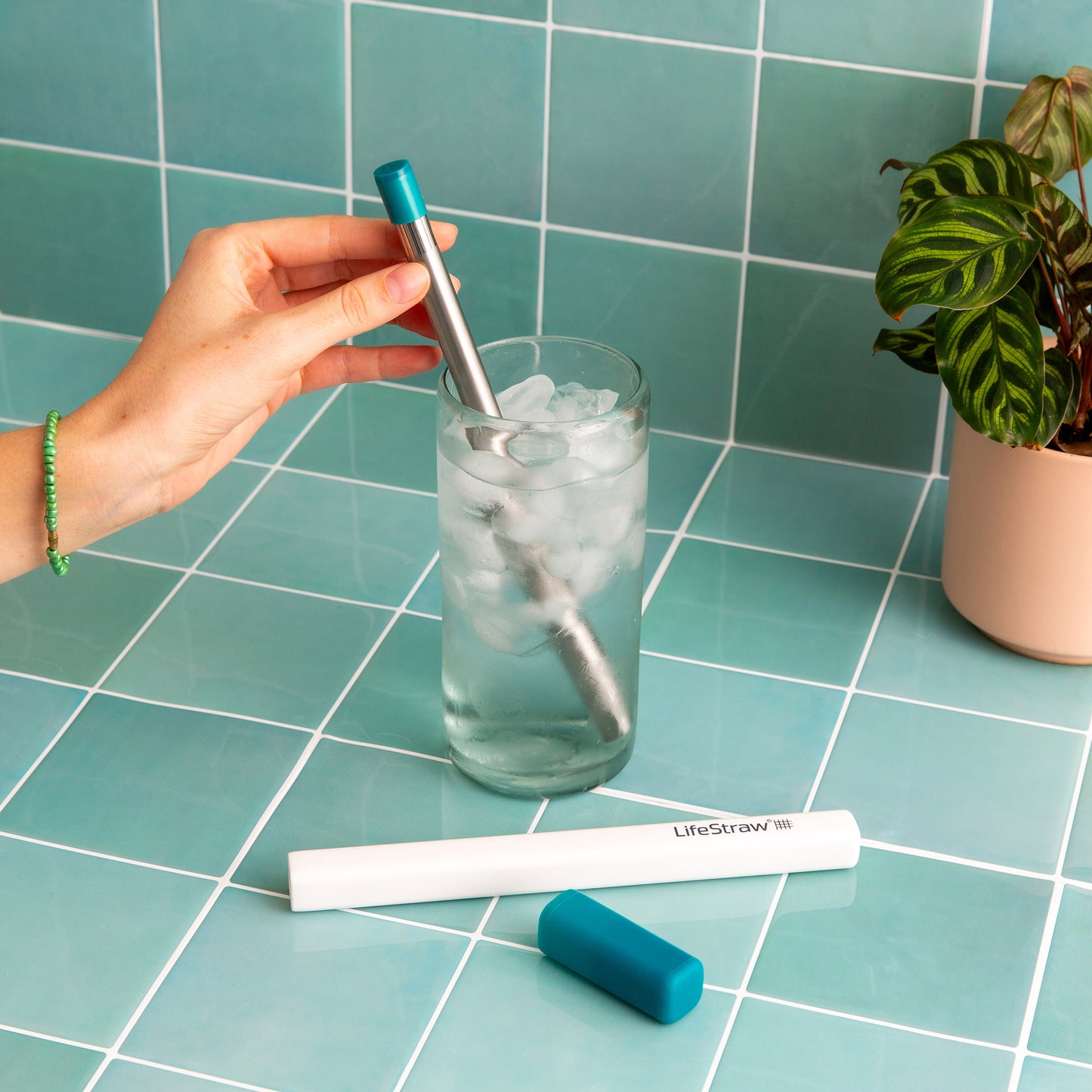 Lifestraw Water Filter Variety Pack