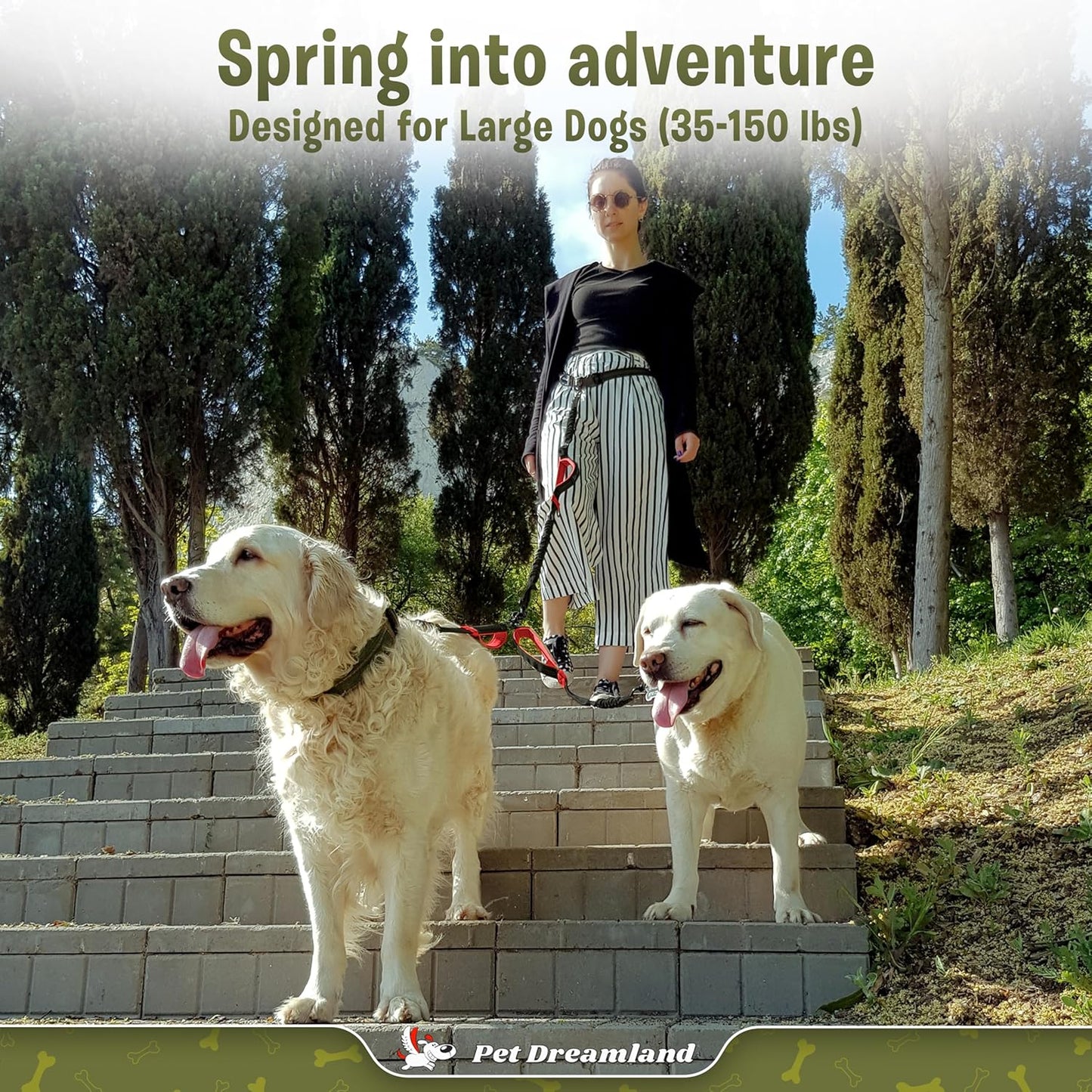 Durable Hands Free Double Leash for Two Dogs - No More Tangles