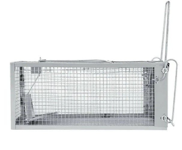 d92491be99a6ab5cbf2aa00a71a9eafb