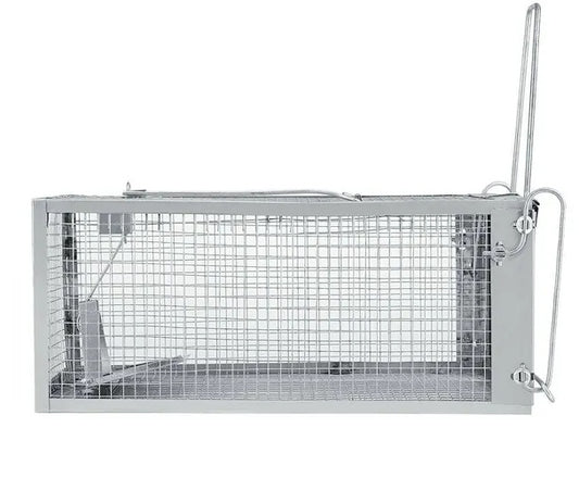 d92491be99a6ab5cbf2aa00a71a9eafb