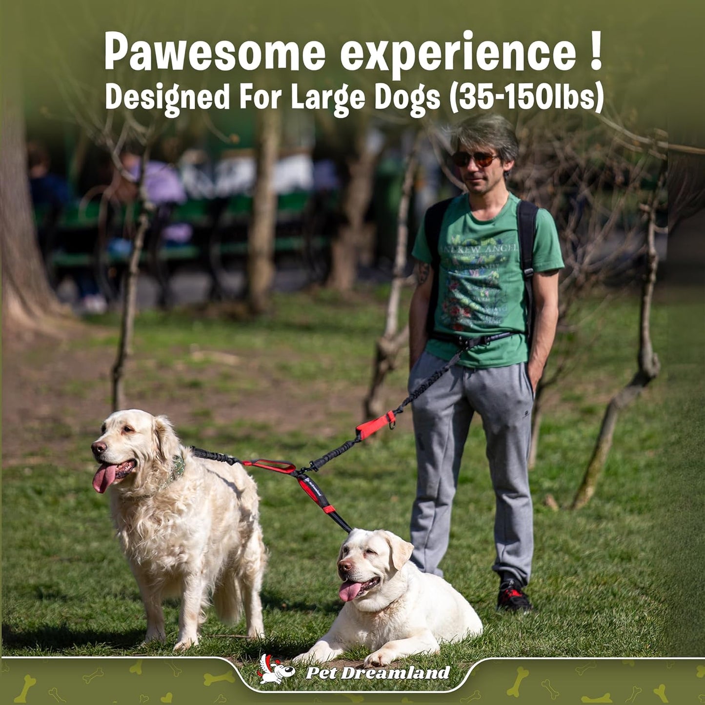 Durable Hands Free Double Leash for Two Dogs - No More Tangles