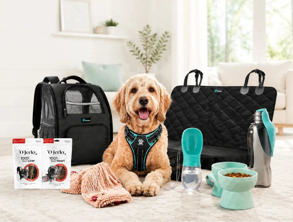 Useful products for pet, travel, beauty, and home routines